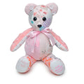 Baby Clothes Memory Bear